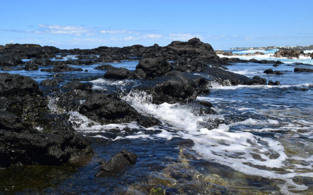 Corail Azur Appartement T1