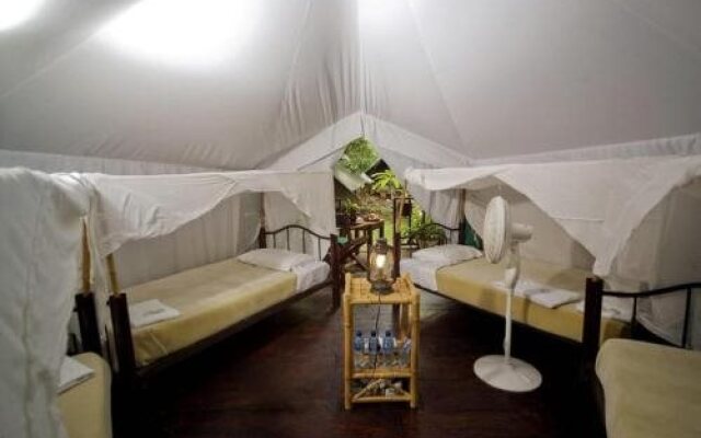 Expediciones Mexico Verde