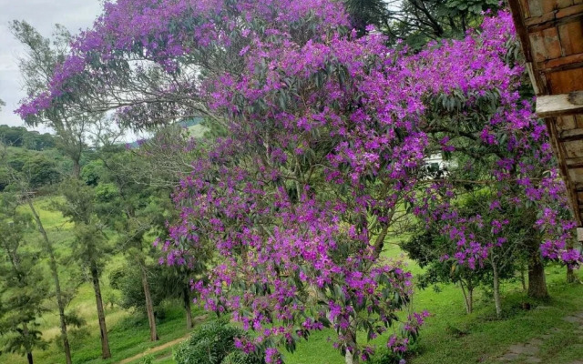 Sitio Três Porteiras