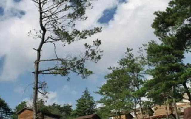 Hyundai Soo Resort Hoengseong