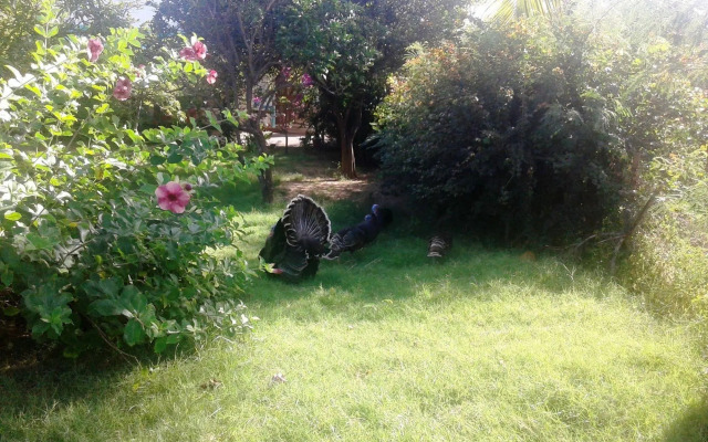 Chez Ronald Guest House