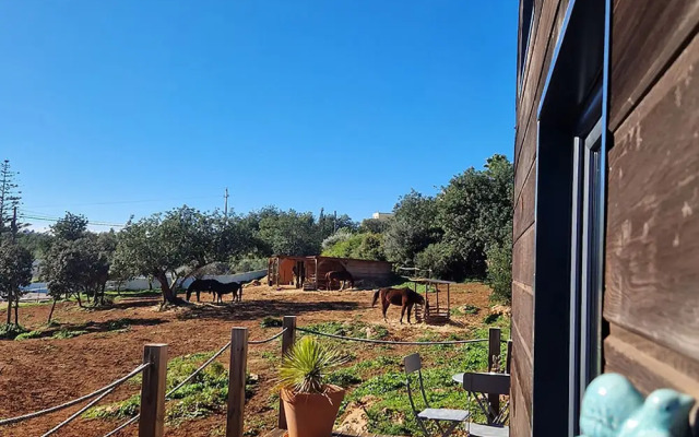 Tiny House Loulé Algarve no1