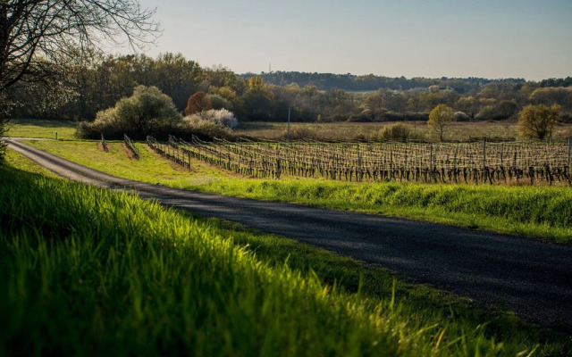 VANDENBELD Wines B&B
