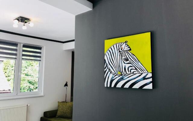 Luxury Modern Apartments