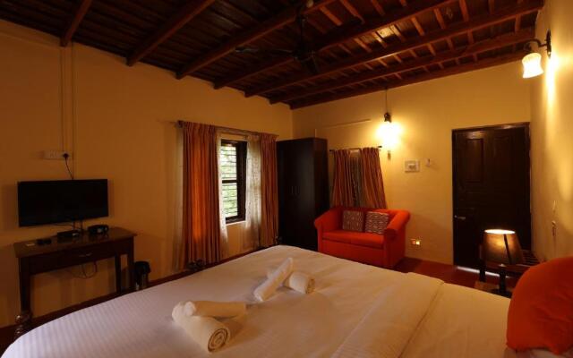 Avadale Coorg Stag - Groups Not Allowed