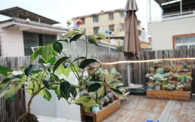 Liwu Homestay (Quanzhou Ancient City West Street)