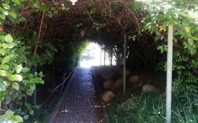 Royal Home Taghazout