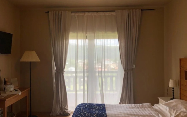 Bucovina Lodge Pension