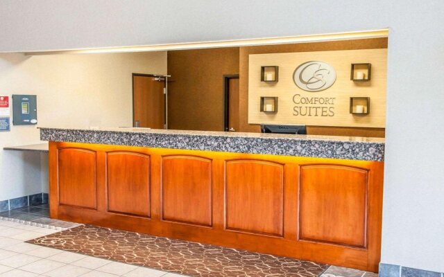 Comfort Suites Auburn near I-69