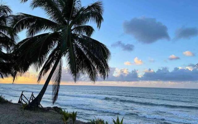 My Dream Beach House
