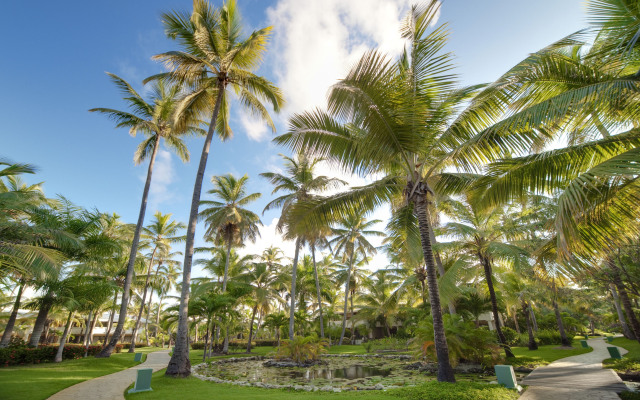 The Level at Meliá Caribe Beach - All Inclusive