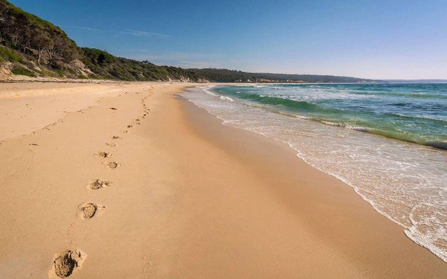 Catlins Newhaven Holiday Park