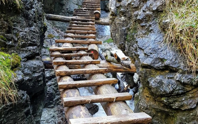 Mountain View Studio Apartment