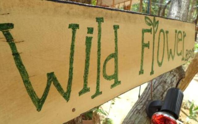 Wild Flower Resort