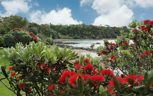 Sanctuary in the Cove