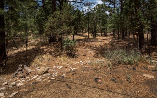 100 Pine Knot-two-bedroom