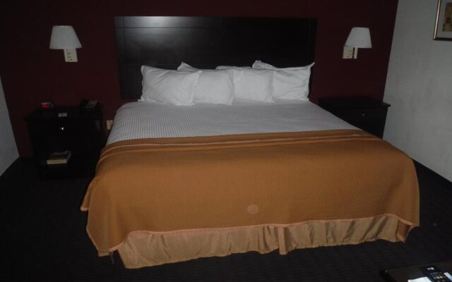 Hotel South Tampa & Suites