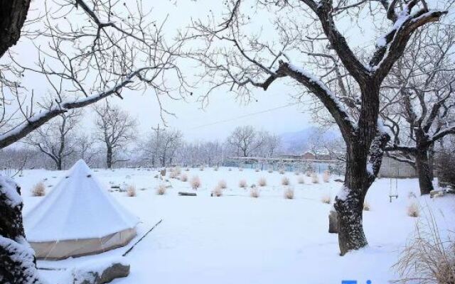 Wellbour Garden Homestay