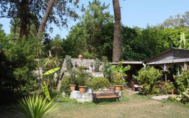 Panorama 15 Kobuleti