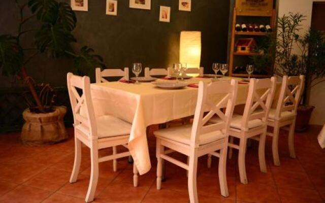 Casa Vlasin