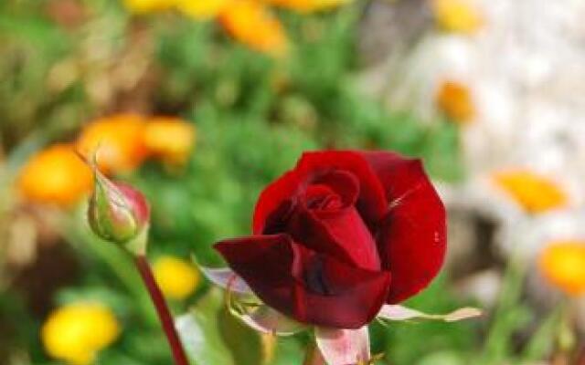 Rustic Holiday Home Miketa