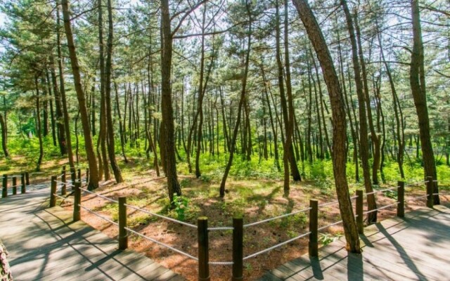 Samcheok Bada Sonamu Pension