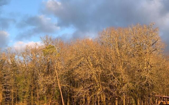 Domaine de la Chartreuse Dautré
