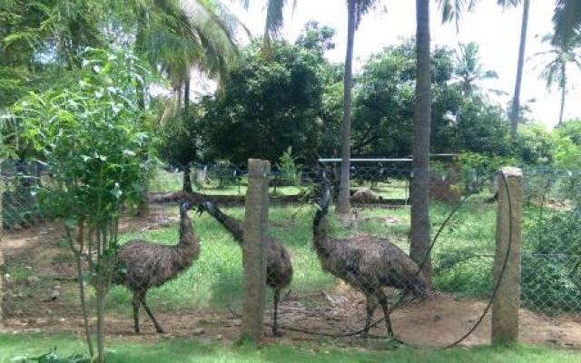 Mango Village Farm House