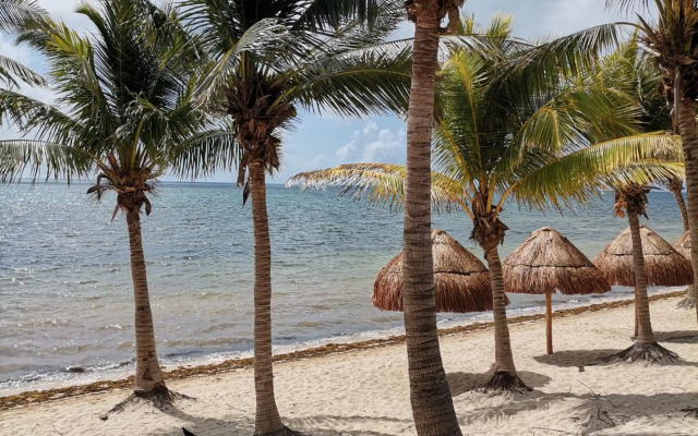 Residencial ParaÍso CASA JADE