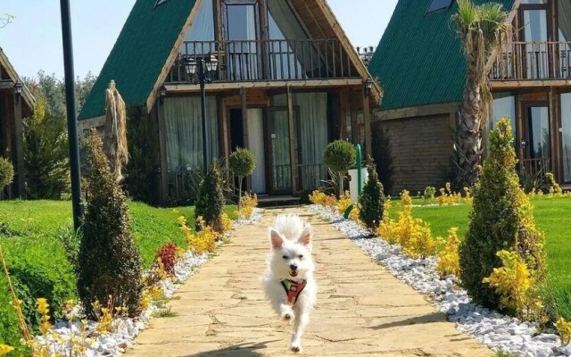 Bisanthe Panorama Sütlüce Dağ Evleri