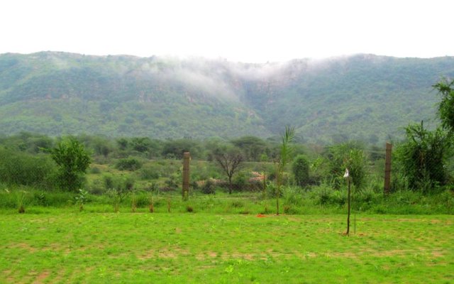 Ranthambhor Tiger Valley