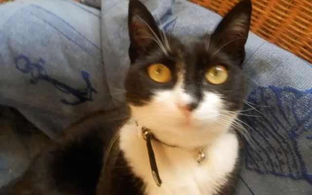 Residenza di Paese Castello del Poggio