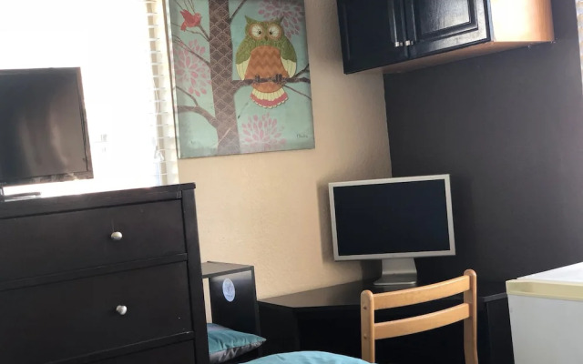 WHOLE Family - WholeStyl - Hostel