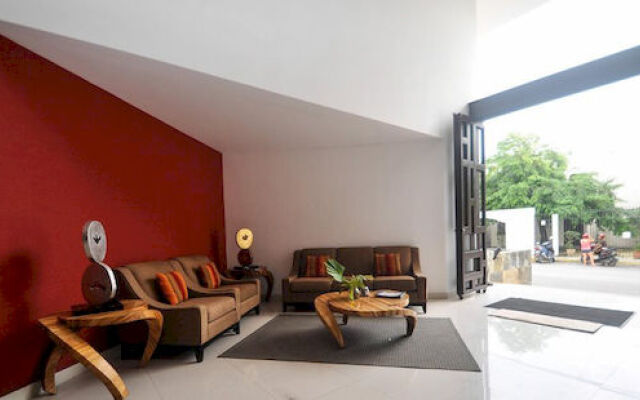 Oasis 202 By Vimex