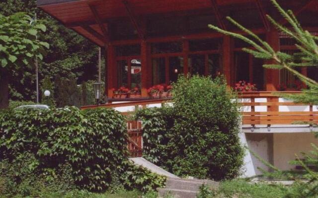 Hotel Au Vieux Moulin
