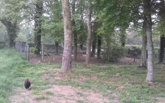 la tiny house de l'aa