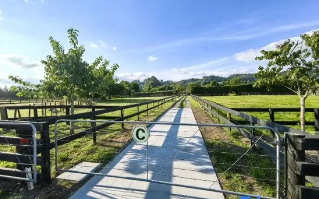 Rotorua Family Retreat Hamurana 10000Sqm Lawn — 4-star hotel in Hamurana