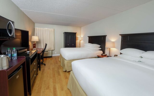 Indigo Buffalo - Amherst