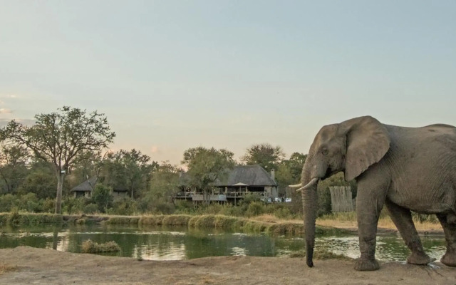 Simbambili Game Lodge