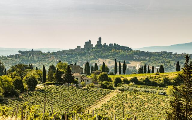 Si-g752-sdto0at - Tenuta di Macericca 10