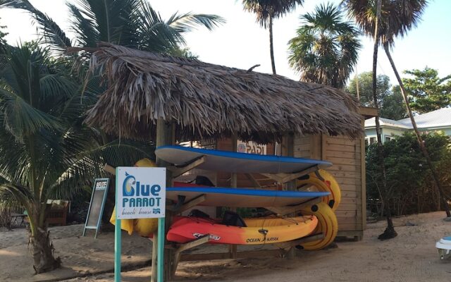 Blue Parrot Beach House