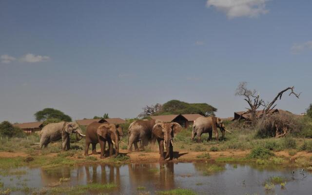 Kilima Safari Camp