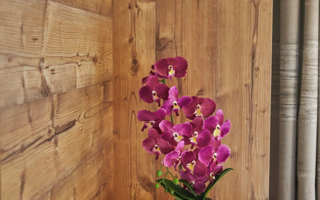 Delfi Ski & Bike Apartments