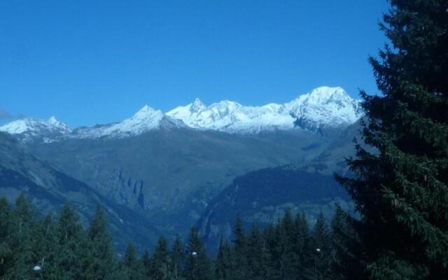 Appartement Les Arcs 1800, 1 pièce, 5 personnes - FR-1-411-399