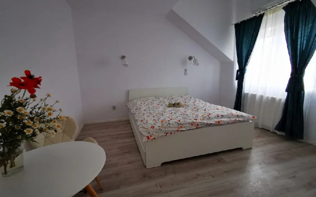 Pensiunea La Matraguna