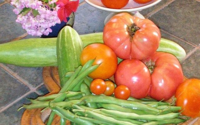 The Pines of Dresden B&B