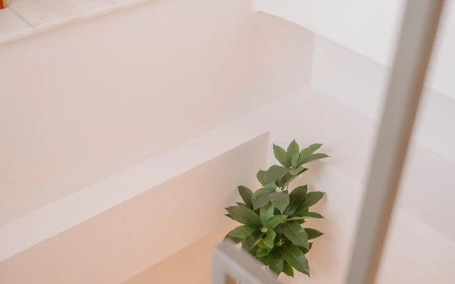 Planis Str Urban Suites