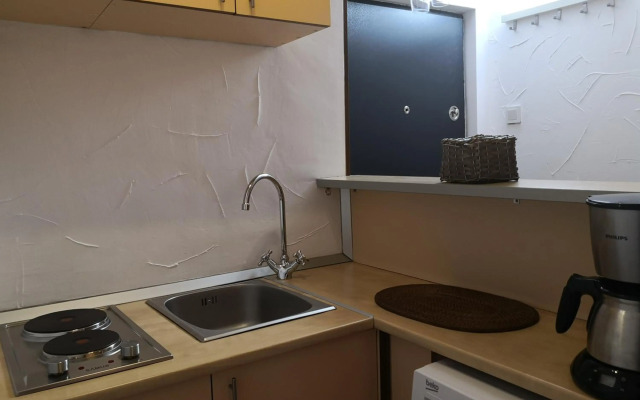 STUDIO Piata Victoriei (Victoriei Square)