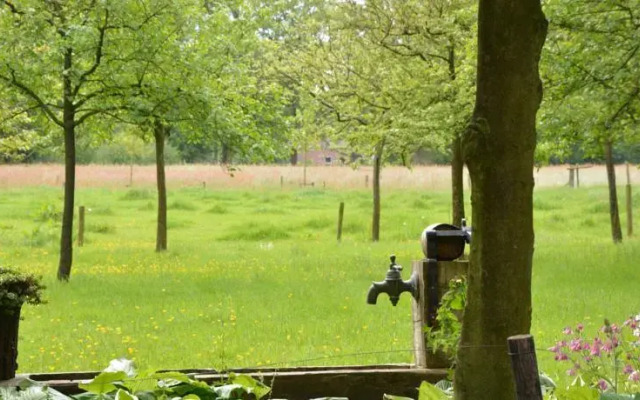Ameidehoeve Bed & Breakfast
