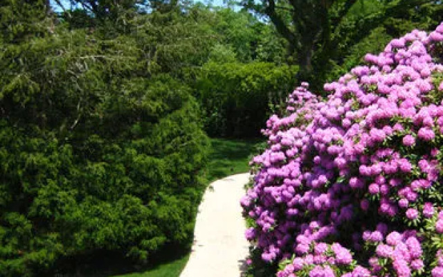 The Baker House 1650